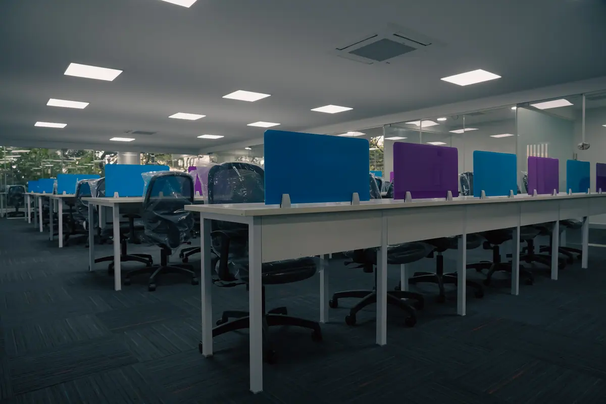 Row of desks with blue and purple partitions and ceiling lighting