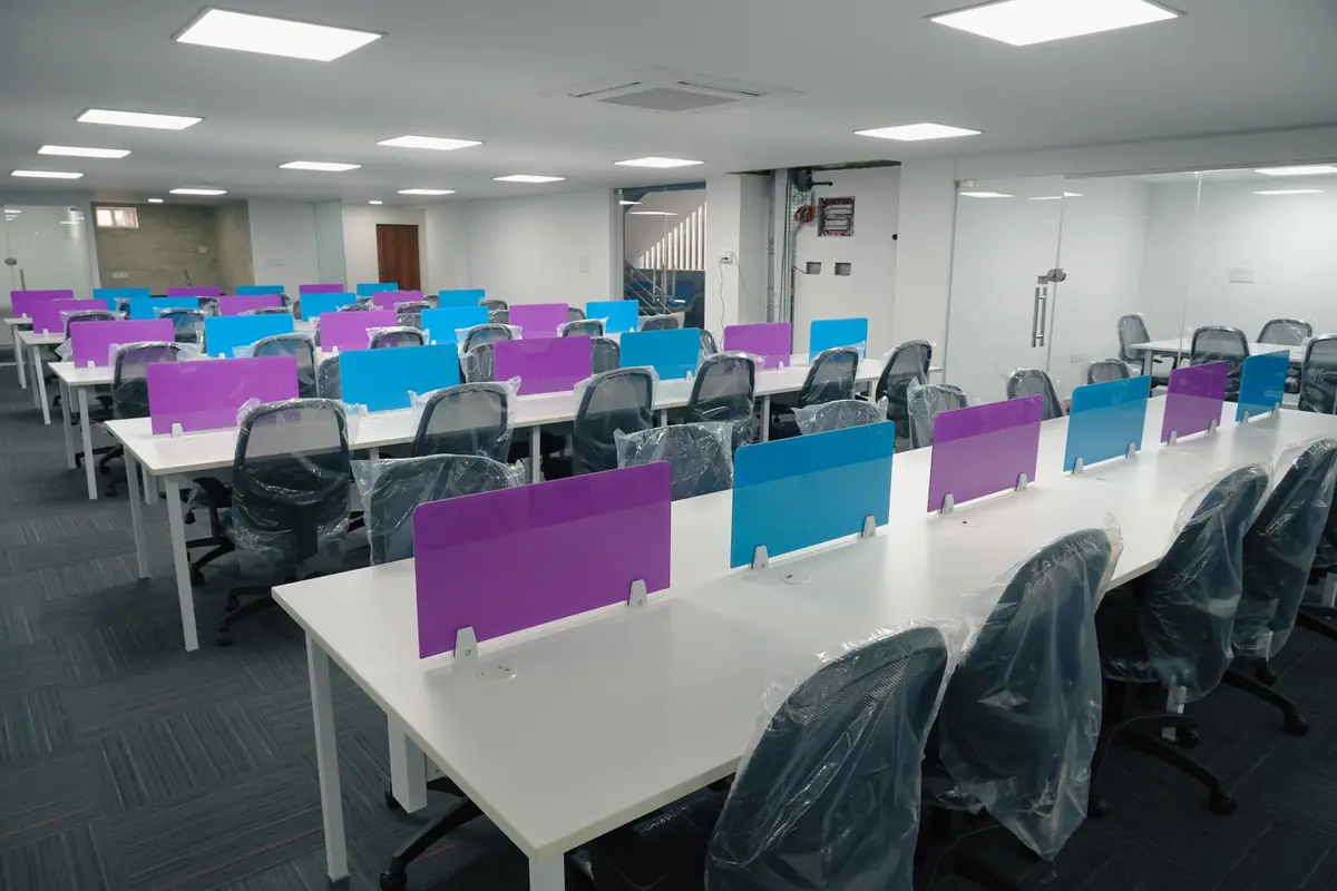 Shared desks with purple and blue partitions under bright ceiling panels