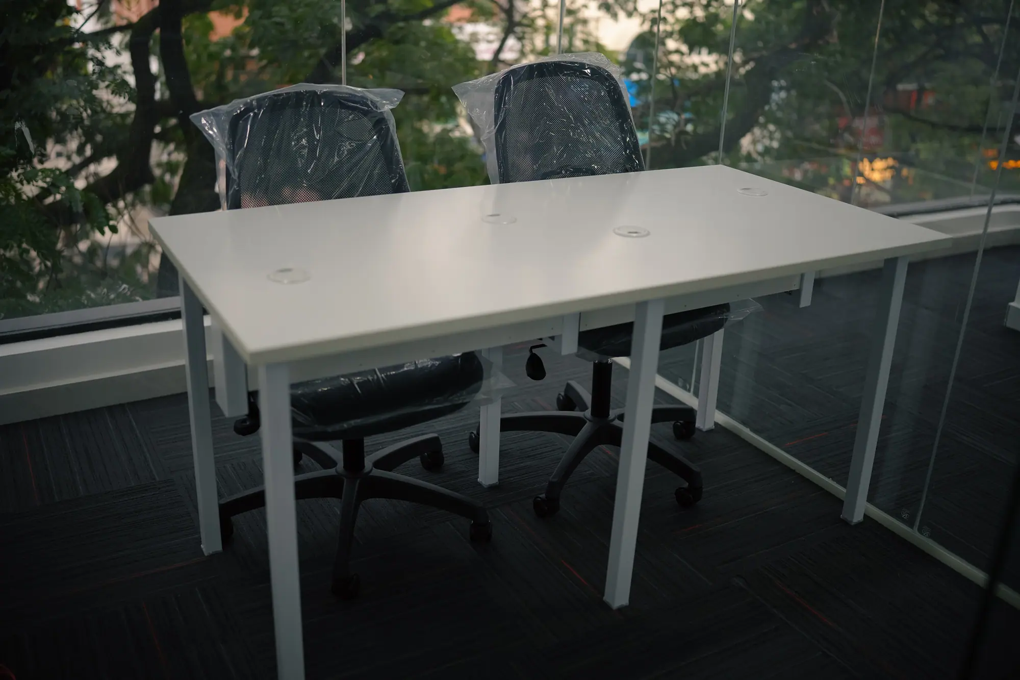 Single reserved desk beside a window with a tree view