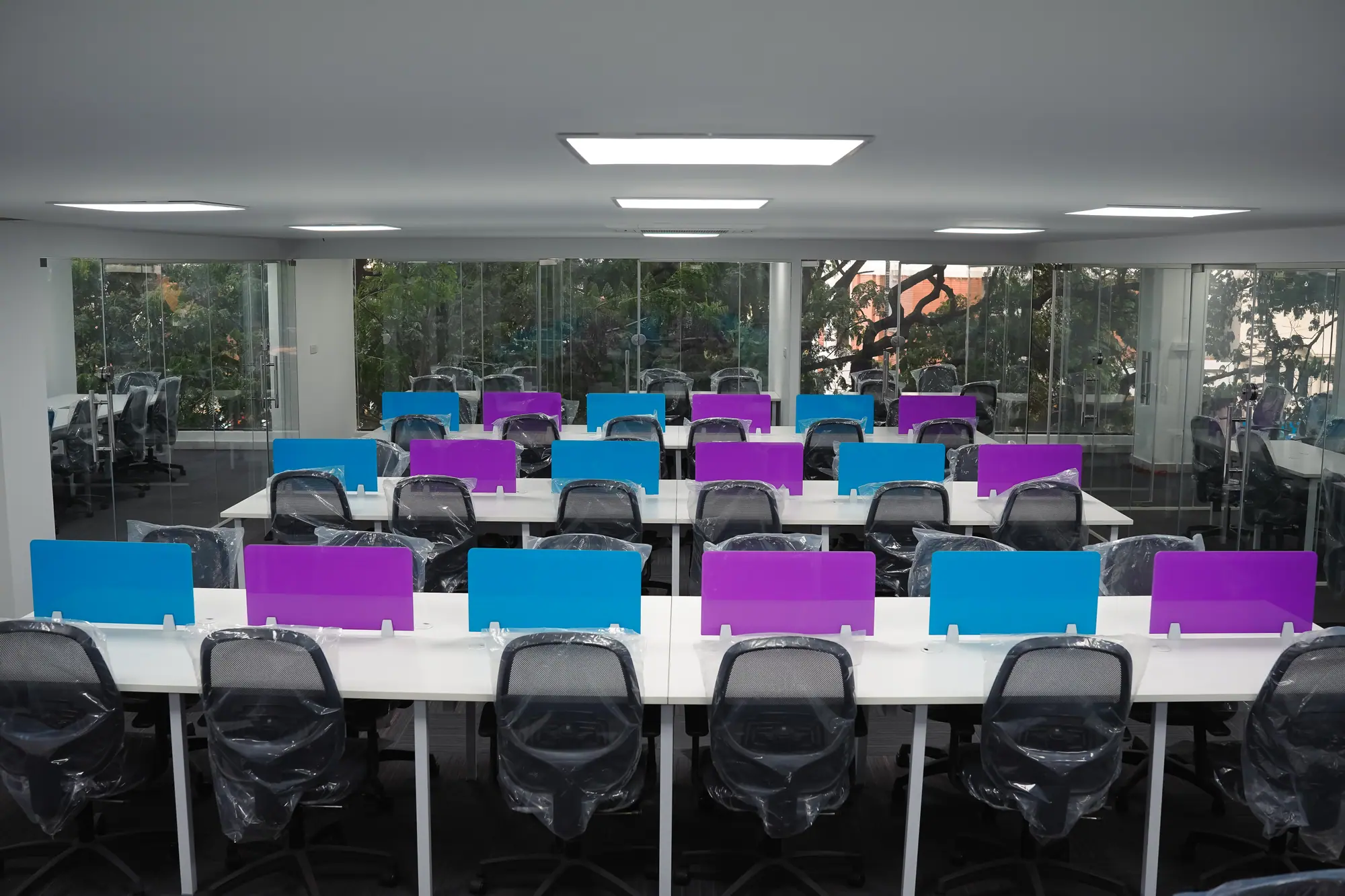 Symmetrical rows of desks with blue and purple partitions in front of floor-to-ceiling glass and trees